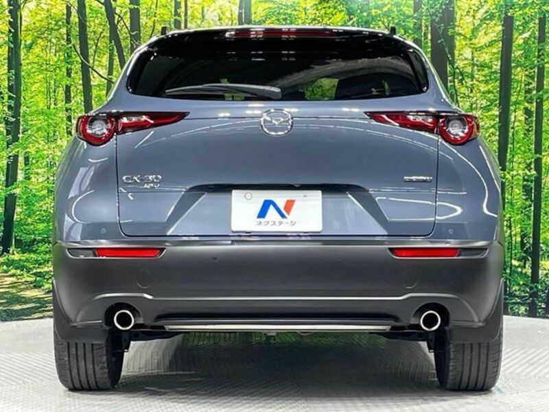 CX-30