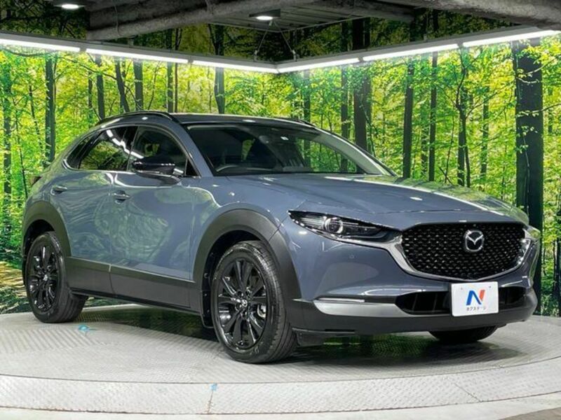 CX-30