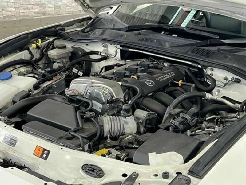 ROADSTER RF
