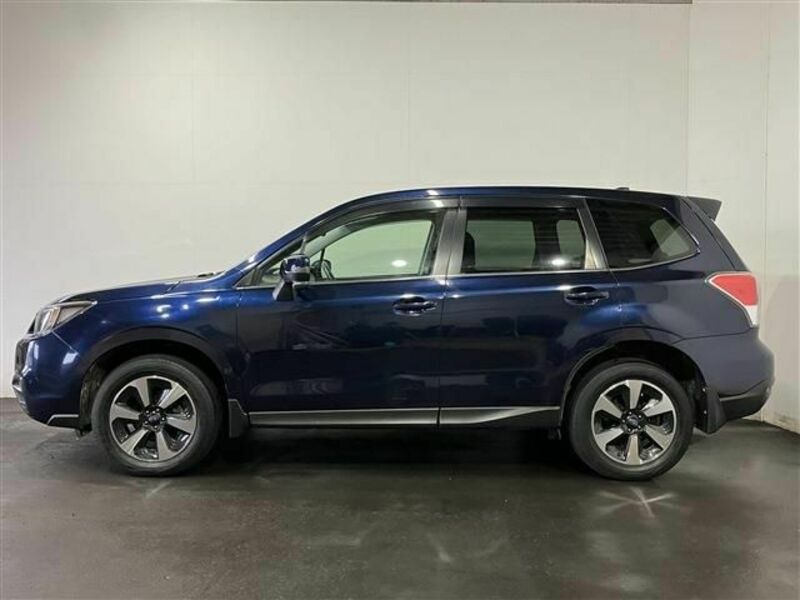 FORESTER