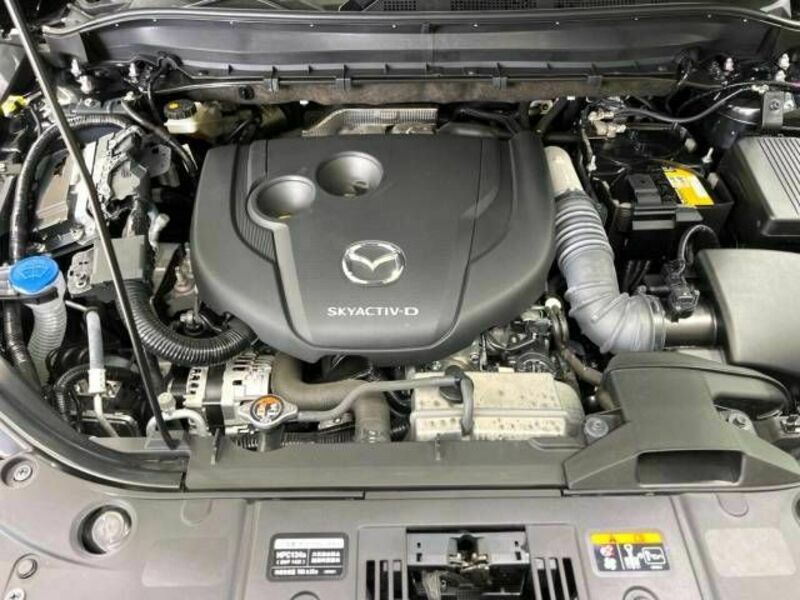 CX-8