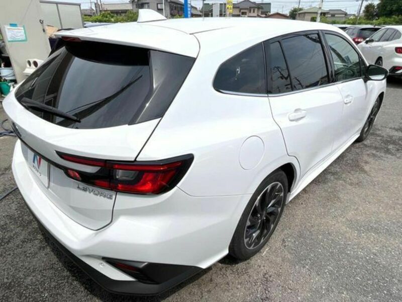 LEVORG