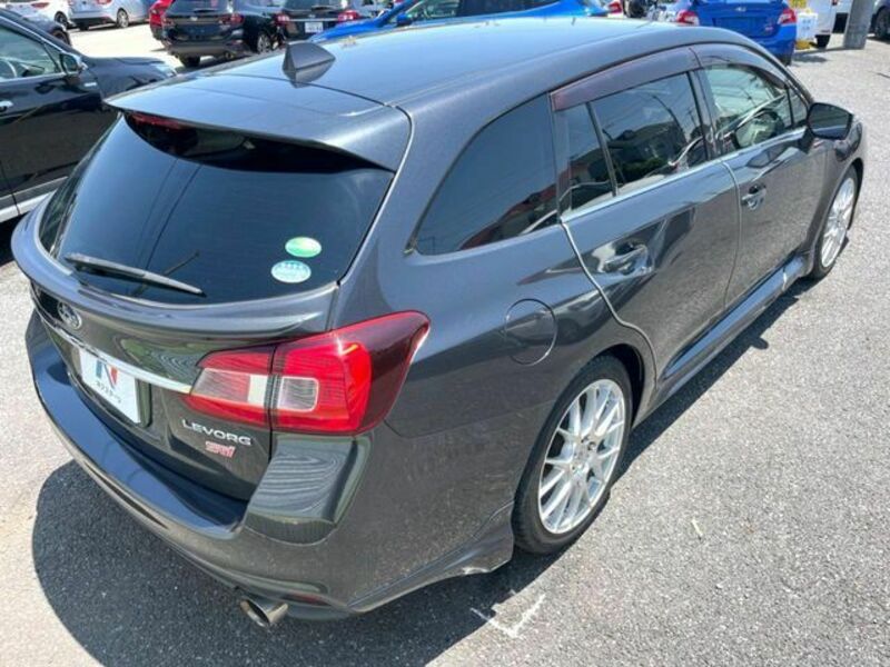 LEVORG