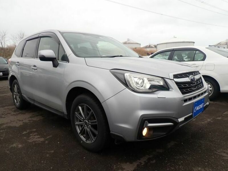 FORESTER-0