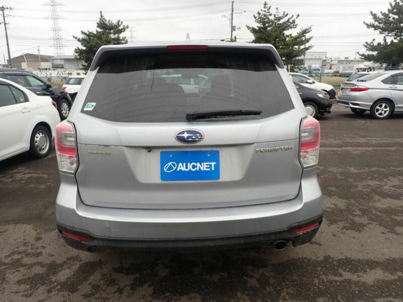 FORESTER