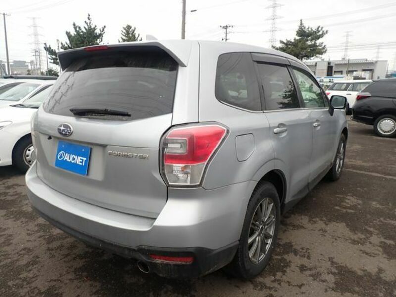 FORESTER