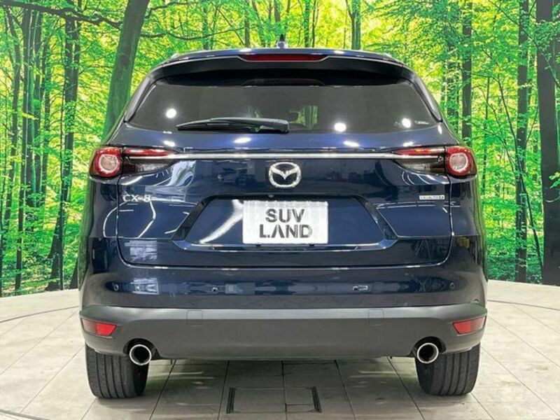 CX-8