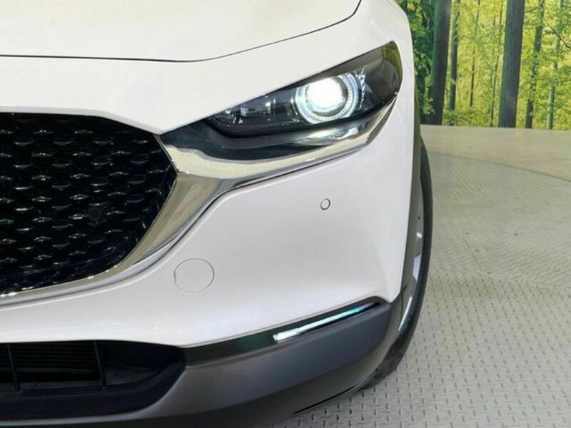 CX-30