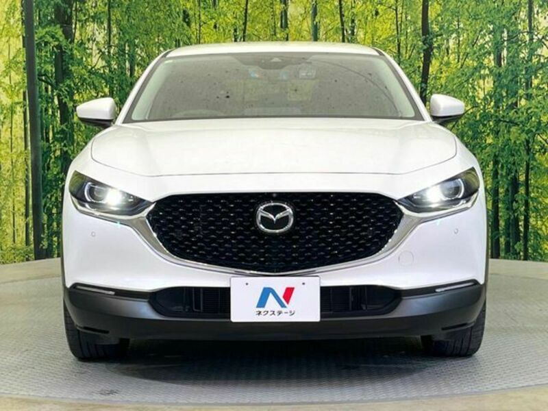 CX-30