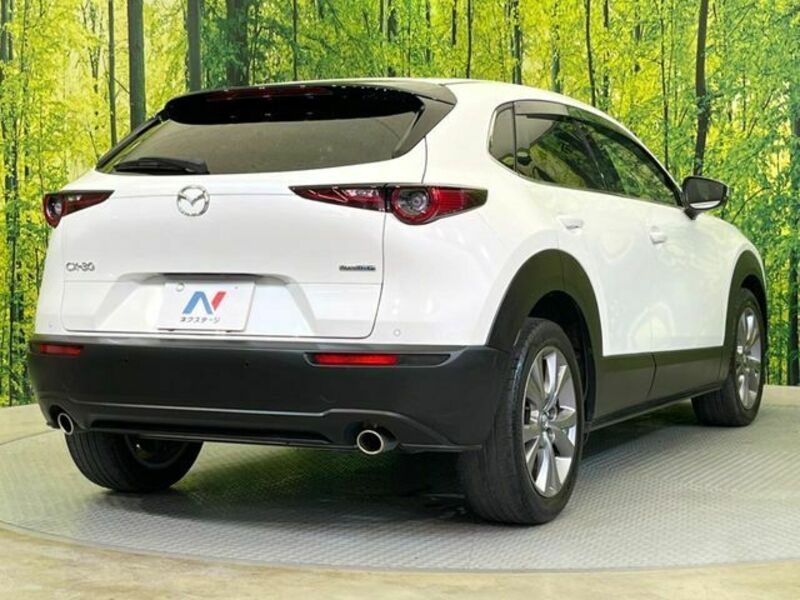 CX-30