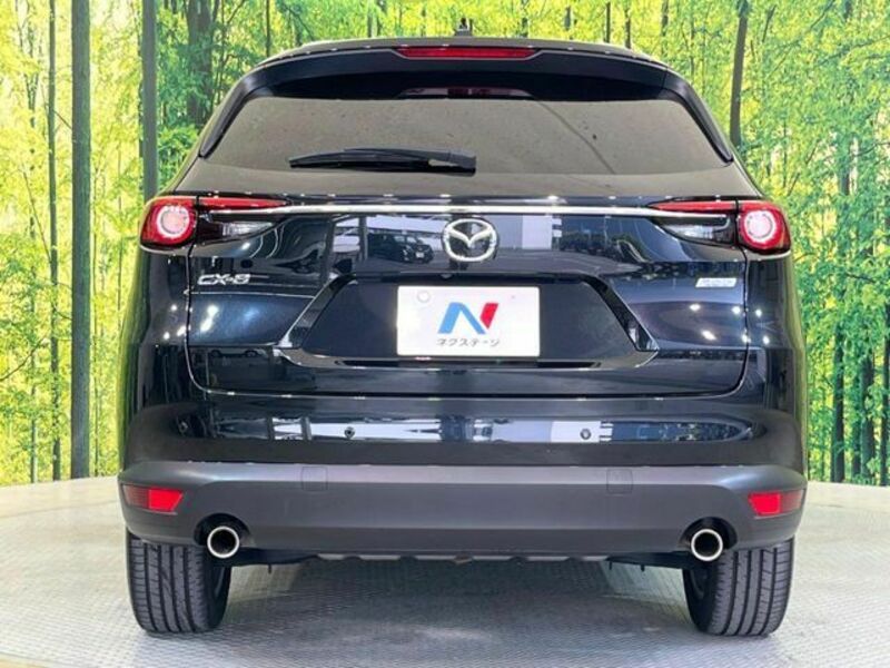 CX-8