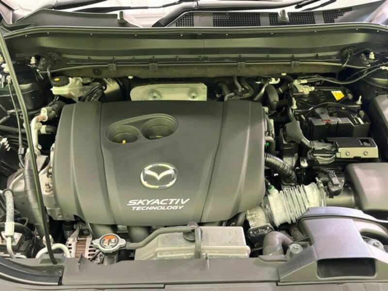 CX-8