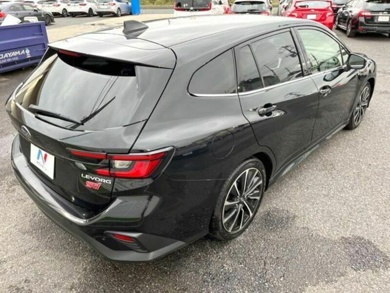LEVORG