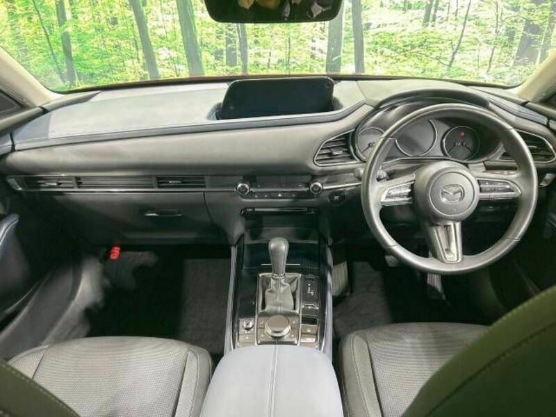 CX-30