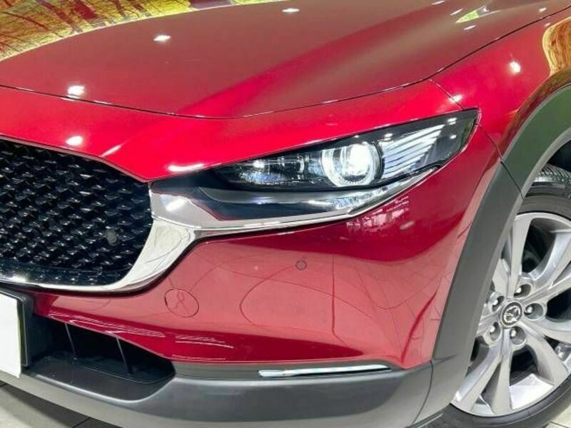 CX-30