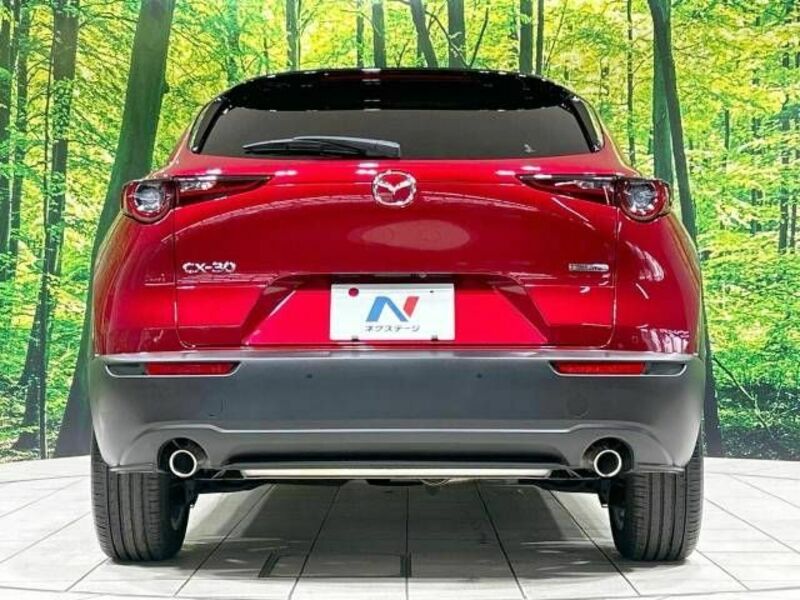 CX-30