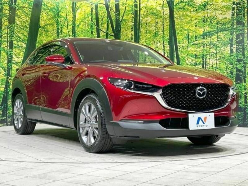 CX-30