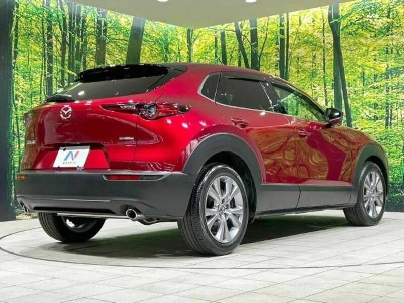 CX-30