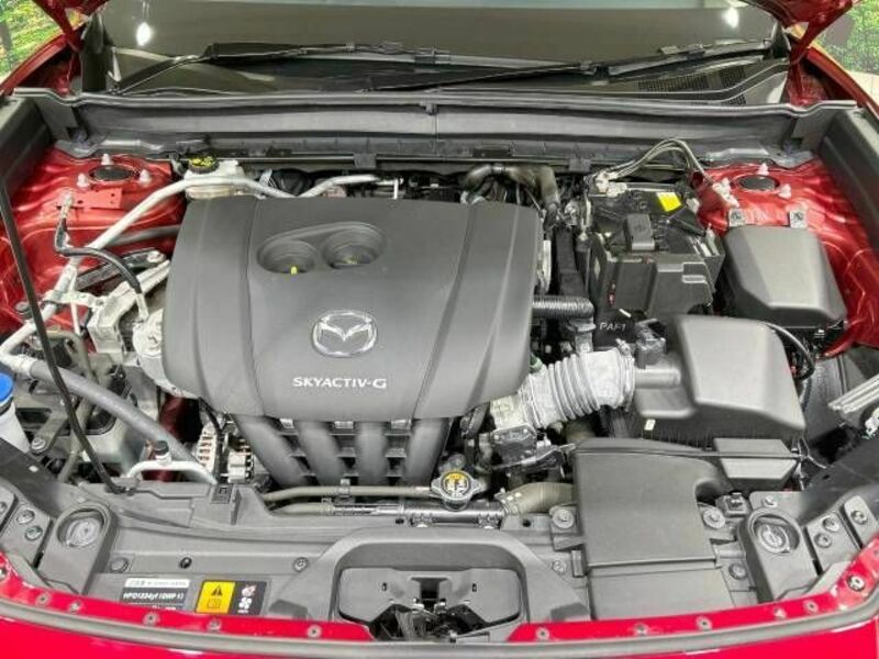 CX-30