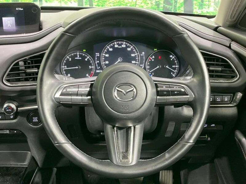 CX-30