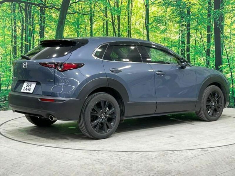 CX-30