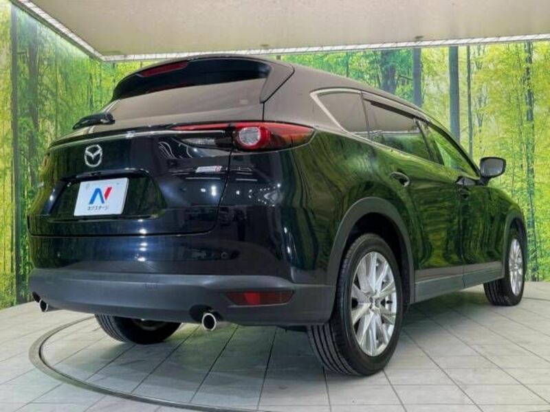 CX-8