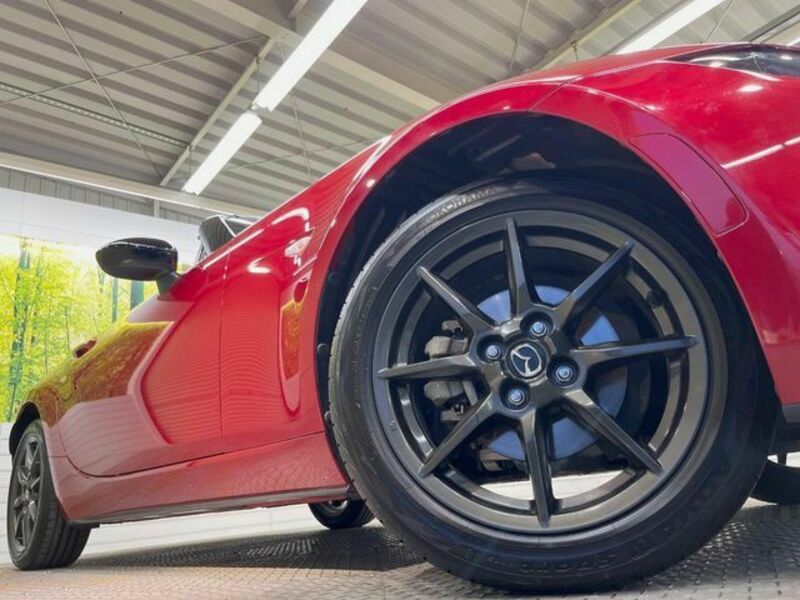 ROADSTER