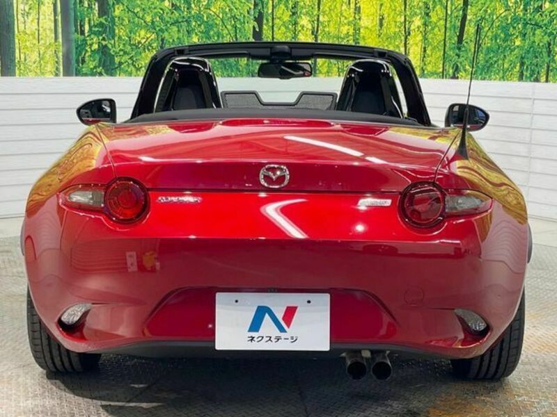 ROADSTER