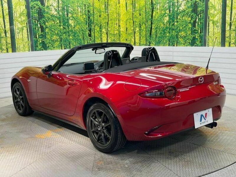 ROADSTER