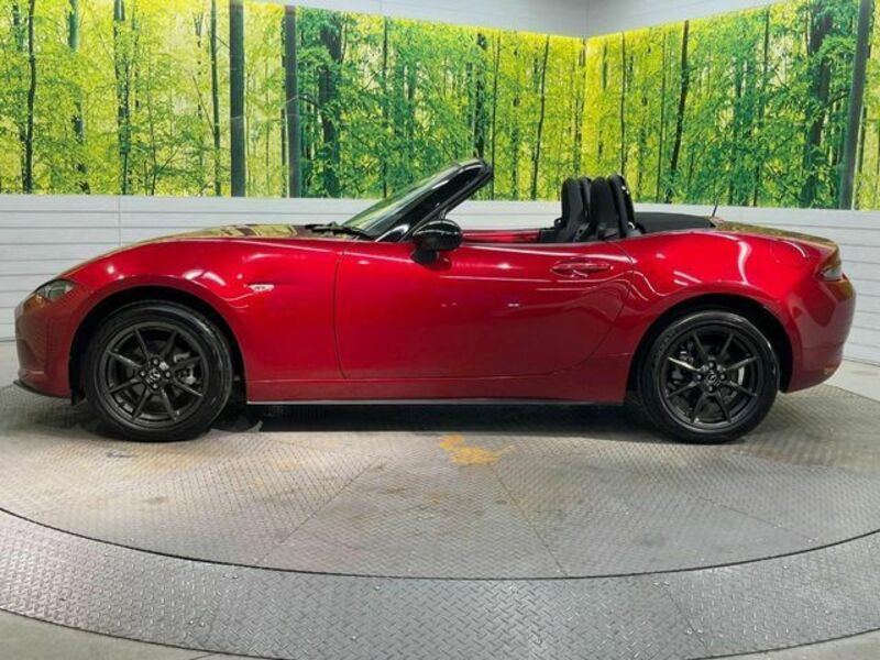 ROADSTER