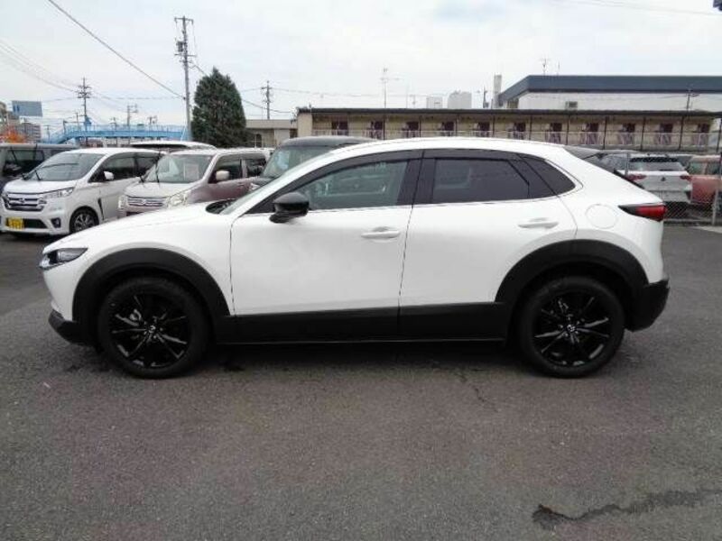 CX-30