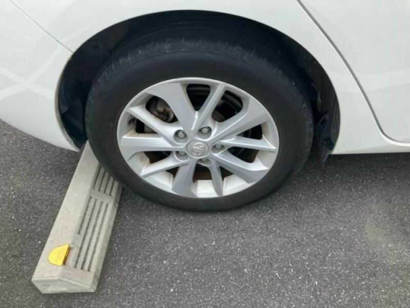 AURIS