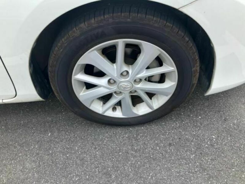 AURIS