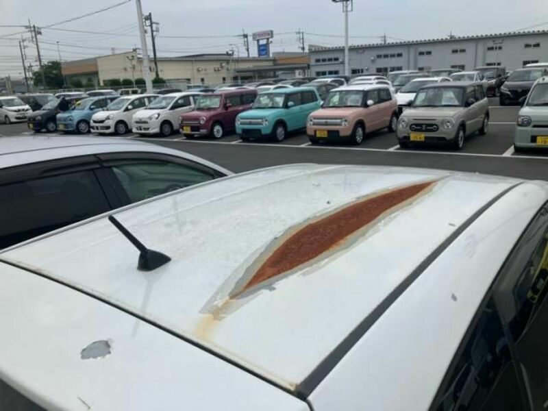AURIS
