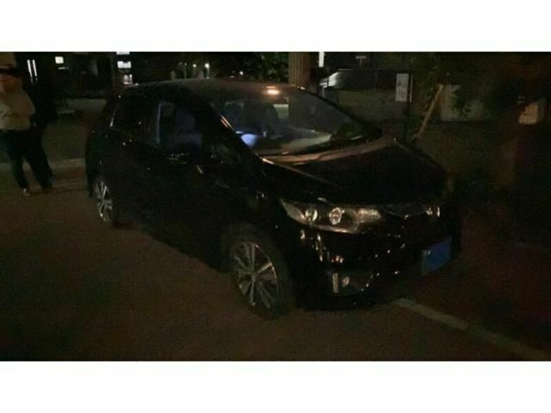 FIT HYBRID-0