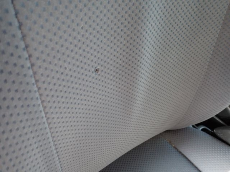 PROBOX VAN