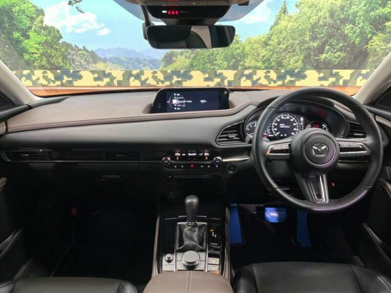 CX-30