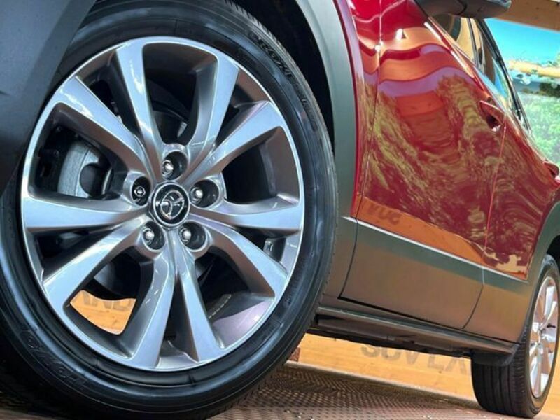 CX-30