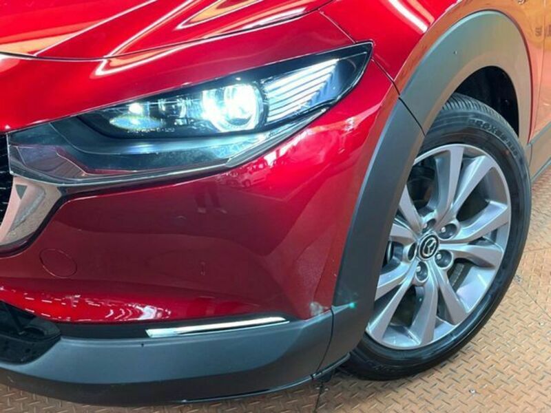CX-30