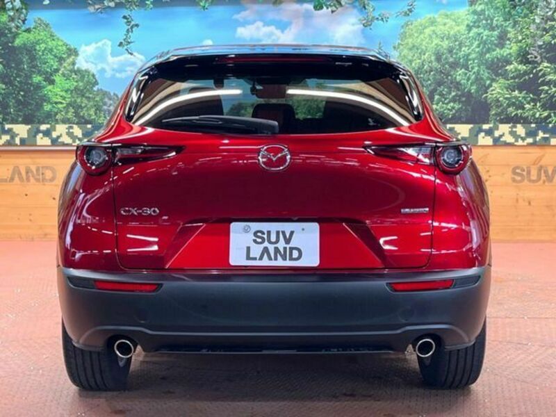 CX-30