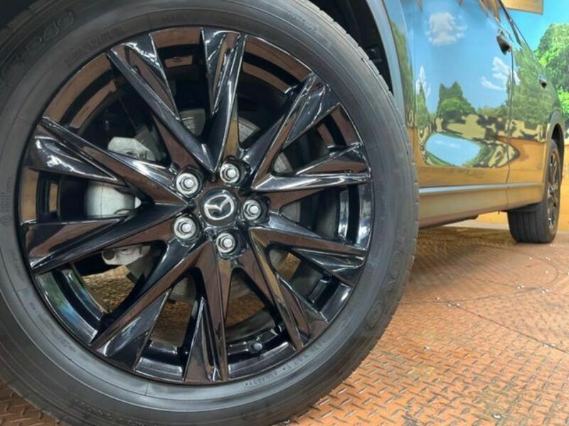CX-8