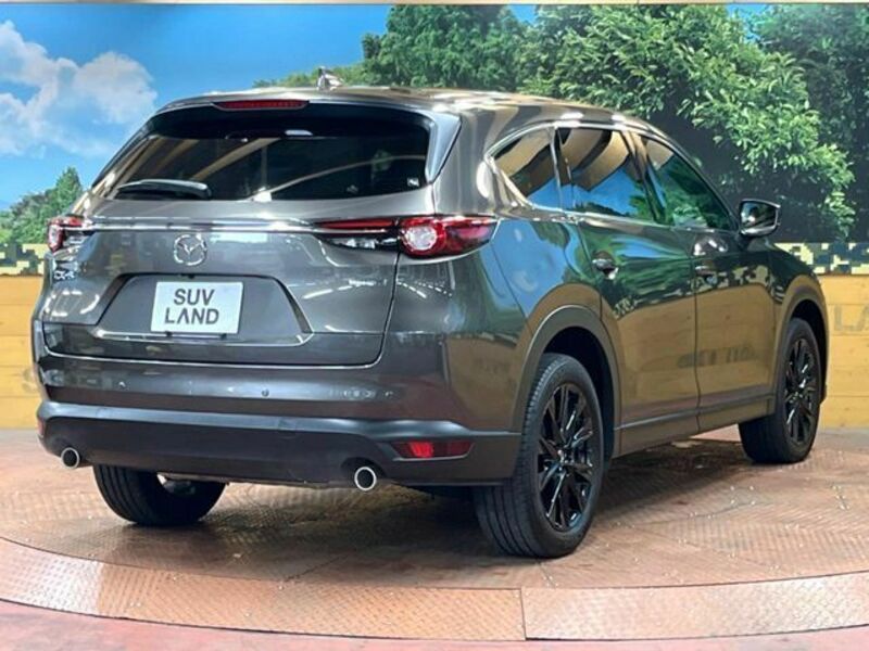 CX-8