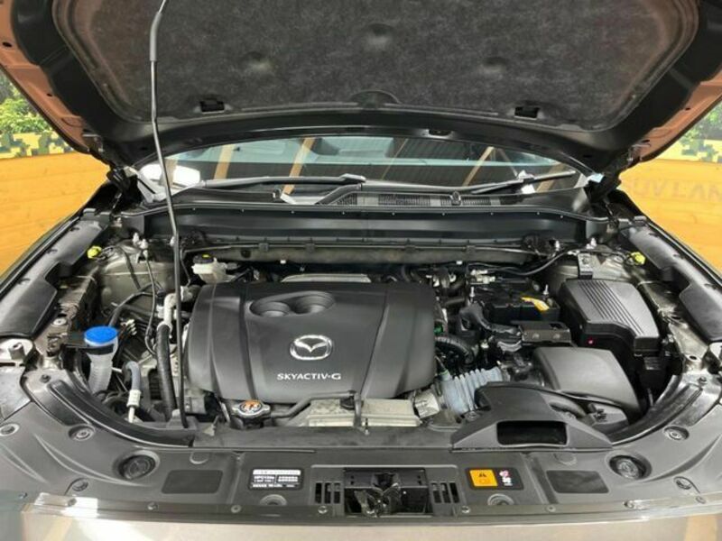 CX-8