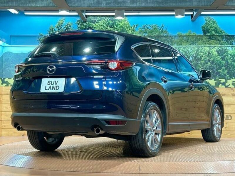 CX-8