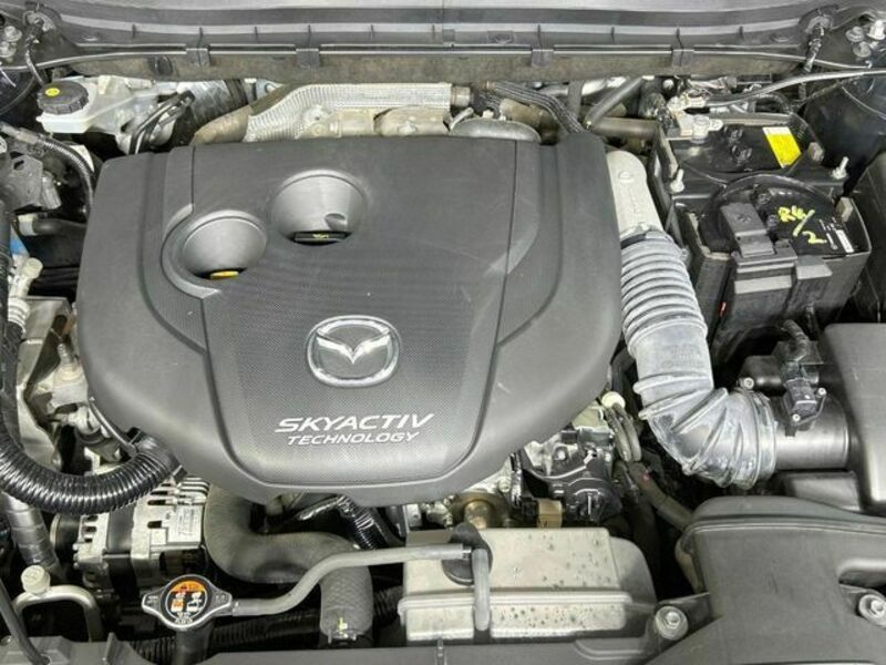 CX-8