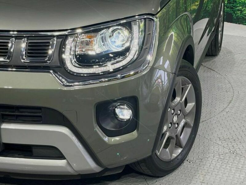 IGNIS