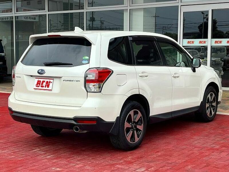FORESTER