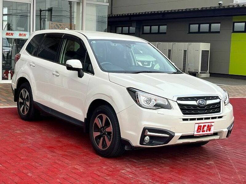 FORESTER