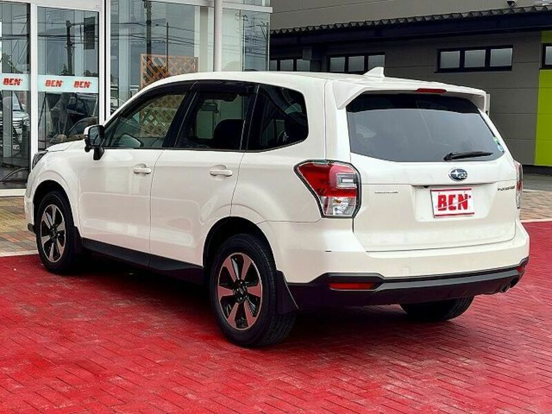 FORESTER