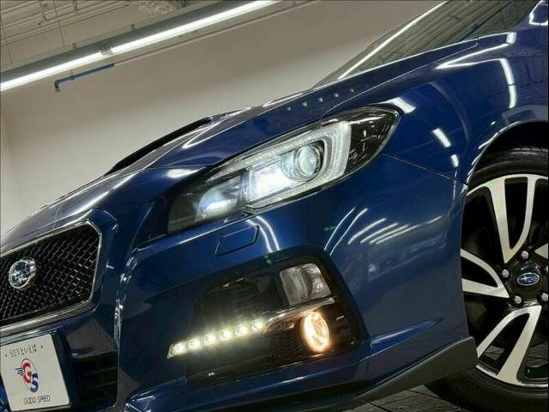 LEVORG